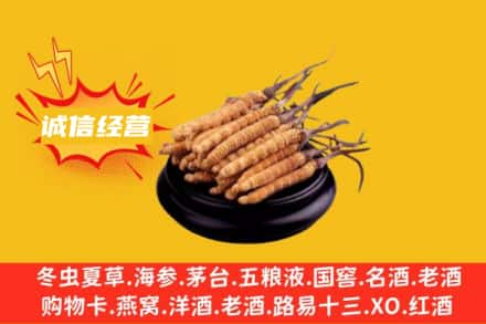 鄂尔多斯市鄂托克前回收冬虫夏草